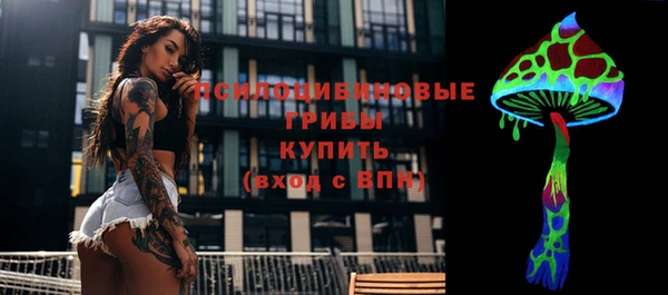 хмурый Аркадак